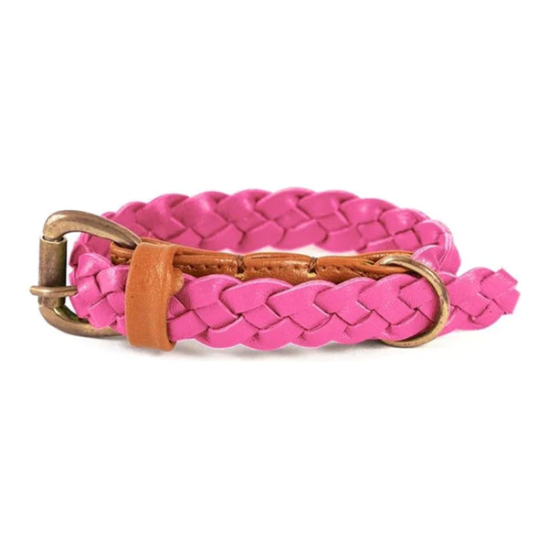 GEORGIE PAWS WINDSOR COLLAR